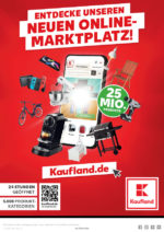 Kaufland brochure with new offers (49/76)