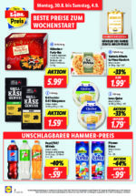 Lidl brochure with new offers (120/169)