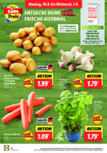 Lidl brochure with new offers (124/169)
