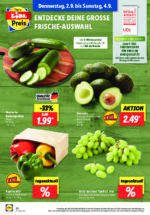 Lidl brochure with new offers (152/169)
