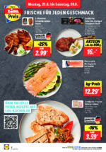 Lidl brochure with new offers (64/169)