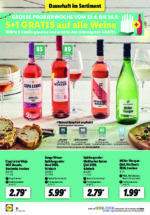 Lidl brochure with new offers (66/169)
