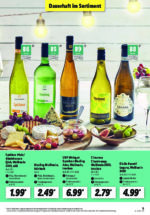 Lidl brochure with new offers (67/169)