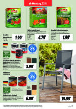 Lidl brochure with new offers (73/169)