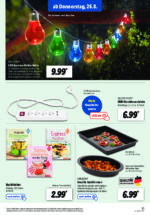 Lidl brochure with new offers (87/169)