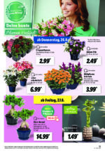 Lidl brochure with new offers (91/169)