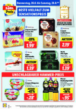 Lidl brochure with new offers (92/169)