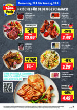 Lidl brochure with new offers (95/169)