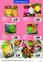 Lidl brochure with new offers (97/169)
