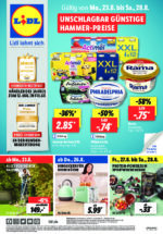 Lidl brochure with new offers (1/169)