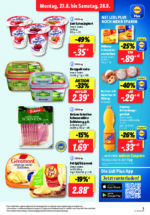 Lidl brochure with new offers (3/169)