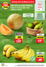 Lidl brochure with new offers (6/169)