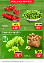 Lidl brochure with new offers (7/169)