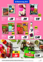 Lidl brochure with new offers (45/169)