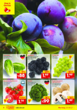 Netto Marken-Discount brochure with new offers (8/91)