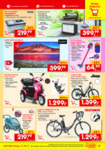 Netto Marken-Discount brochure with new offers (31/91)
