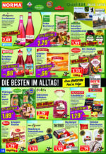 Norma brochure with new offers (46/92)